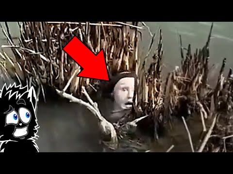 ЖУТКАЯ БОЛОТНАЯ ГОЛОВА и ДРУГАЯ ОКОЛЕСИЦА СНЯТАЯ НА КАМЕРУ [Черный кот]