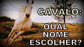 180 nomes para cavalos - Nomes Criativos