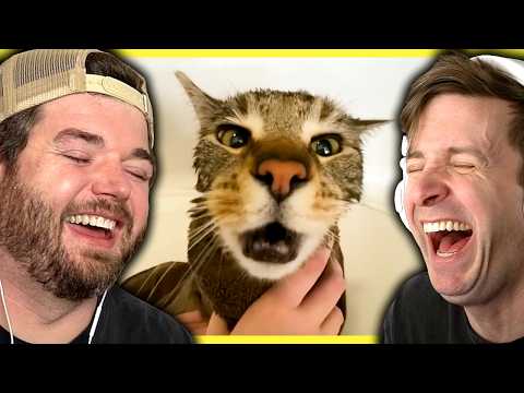 Laughing at the FUNNIEST Animal videos from 2025!