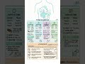 Insulin Types: Rapid, Short, Intermediate &amp; Long Acting Dosing &amp; Mixing #Insulin  #iPrkashMishra