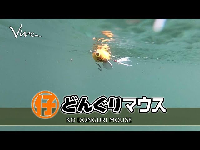 仔どんぐりマウス - YouTube