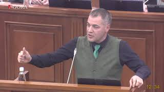 Ticu, discurs in Parlament: „În 30 de ani, în R. Moldova a fost o istorie a „kidanelii”