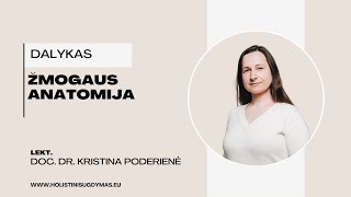 2025-2026 m. studijų dalykų pristatymas: Žmogaus anatomija