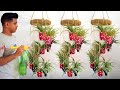 recycling plastic bottles into colorful hanging pots for garden ideas