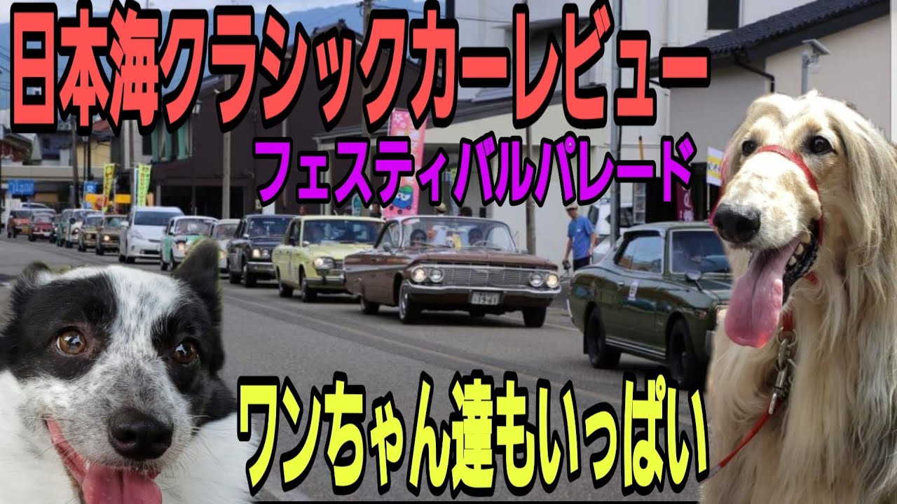 【糸魚川】日本海クラシックカーレビュー フォッサマグナミュージアム,Classic car review YouTube