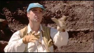 PBS a Evolution Ep 3 Extinction