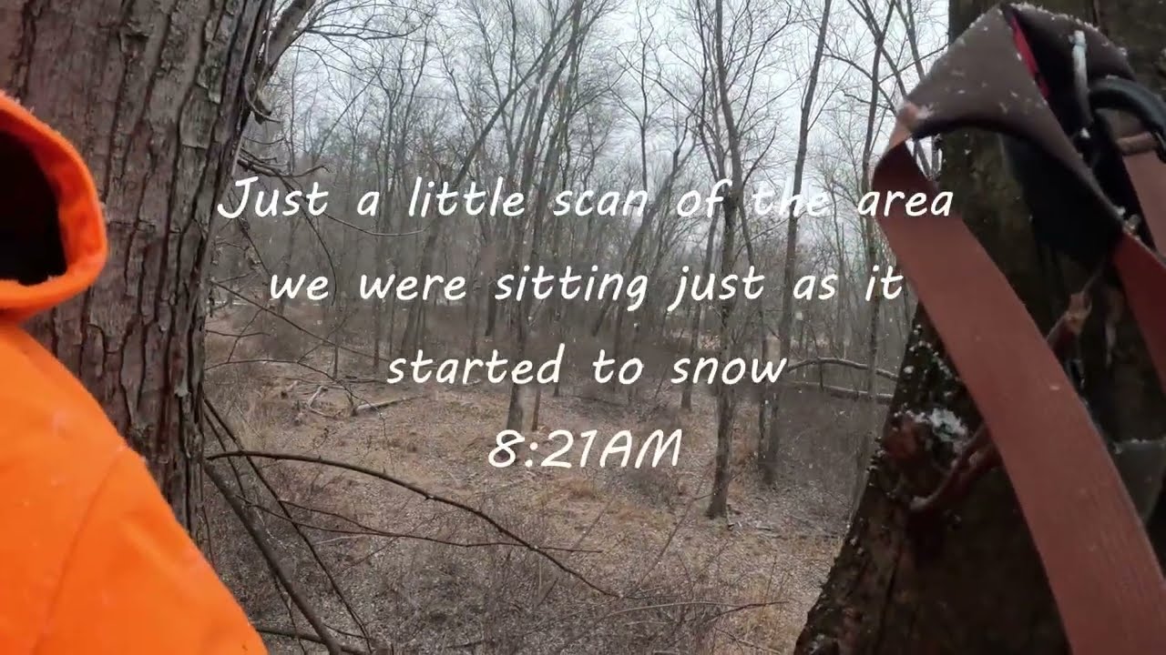 Snowy day deer hunting