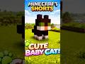 Minecraft mini build | Baby Cat 🐈 #minecraft #minecraftbuilding #shorts
