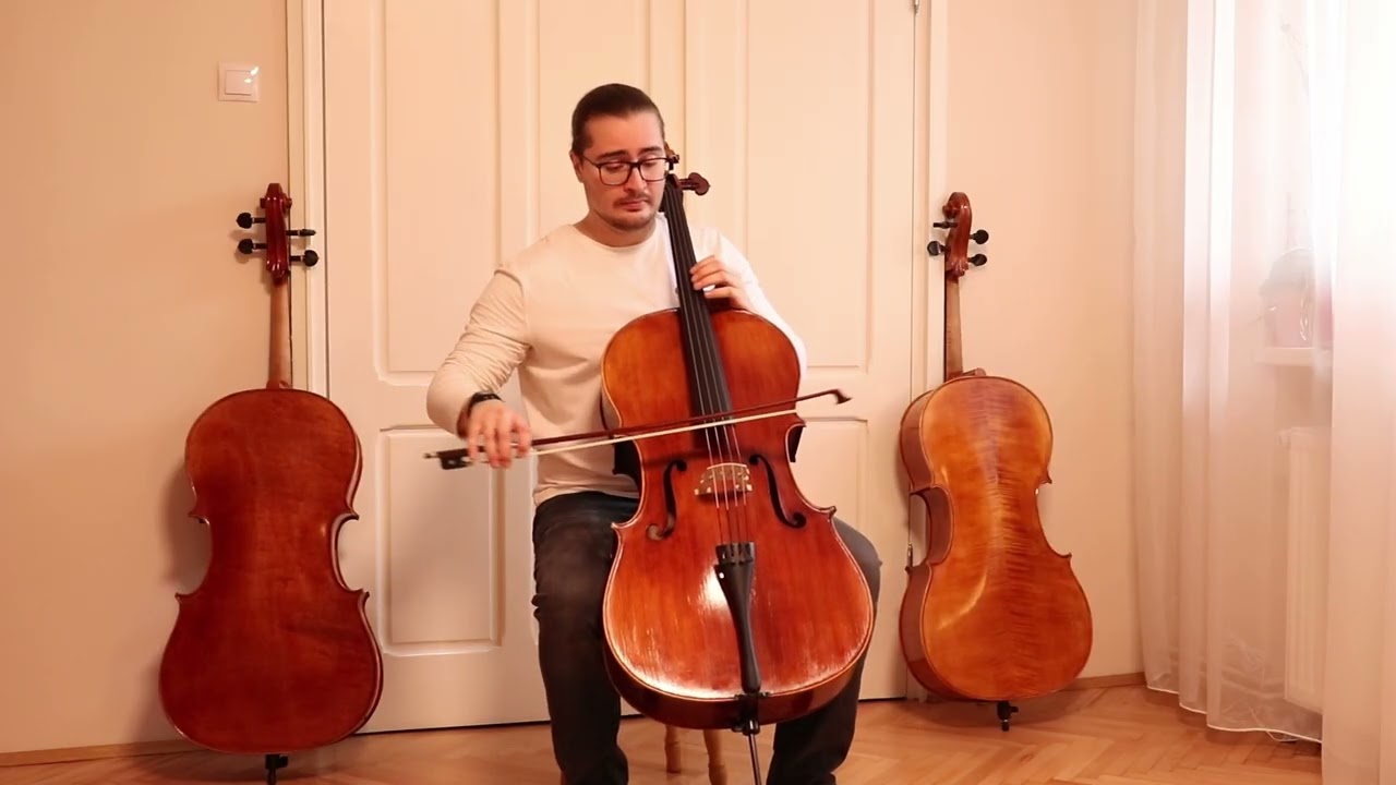 Rare Flamed Ash Goffriller Cello 4/4 by Vivarius Workshop # 78