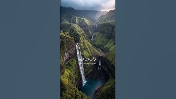تلاوة القارئ ريان المحيسني #قرآن #اكسبلور