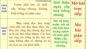 Tuần 25: Ngày 17/4  TLV Lớp 4 Bài: Luyện tập xây dựng mở bài trong bài văn miêu tả cây cối