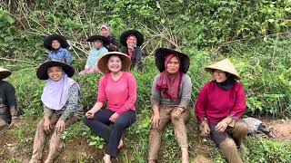 SALUTE !! DEMI LUNASI HUTANG JANDA CANTIK ANAK SATU RELA NGULI BANTING TULANG KERJA SERABUTAN