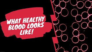 Healthy Live Red Blood Cells