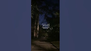 سُورَةُ غافر(62) ، للقارئ : محمد اللحيدان .