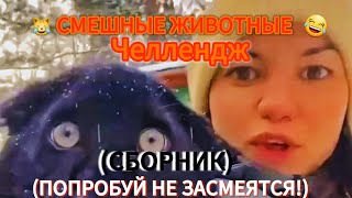 :     ! |  !|  | ()