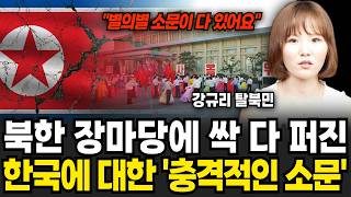 북한 장마당에서 떠도는 한국에 대한 '충격적인 소문' (강규리 탈북민 / 2부)