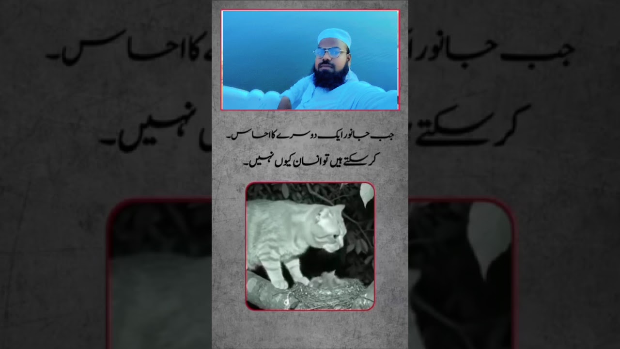 جب جانور ایک دوسرے کا احساس کرسکتے ہیں تو انسان کیوں نہیں md Ahsan Channel 