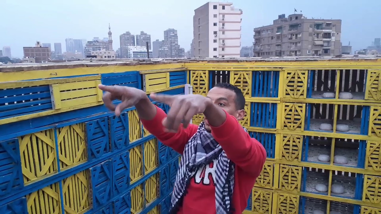 مسكت فرد حمام في نش الحمام مع#حمادةادم #مدحت_الابيض #كوتوادم