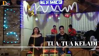 Download Lagu Tua Tua Keladi ( Cover ) Delima nada Voc 2D MP3