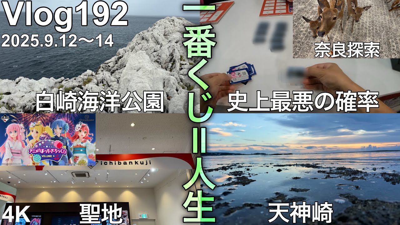 【和歌山遠征一番くじ】夏のボーナス、完。