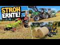 STROH PRESSEN in FOLIE! | Sinnvoll oder Quatsch? | IHC 633 mit Schwader | Deutz DX | Mr. Moto