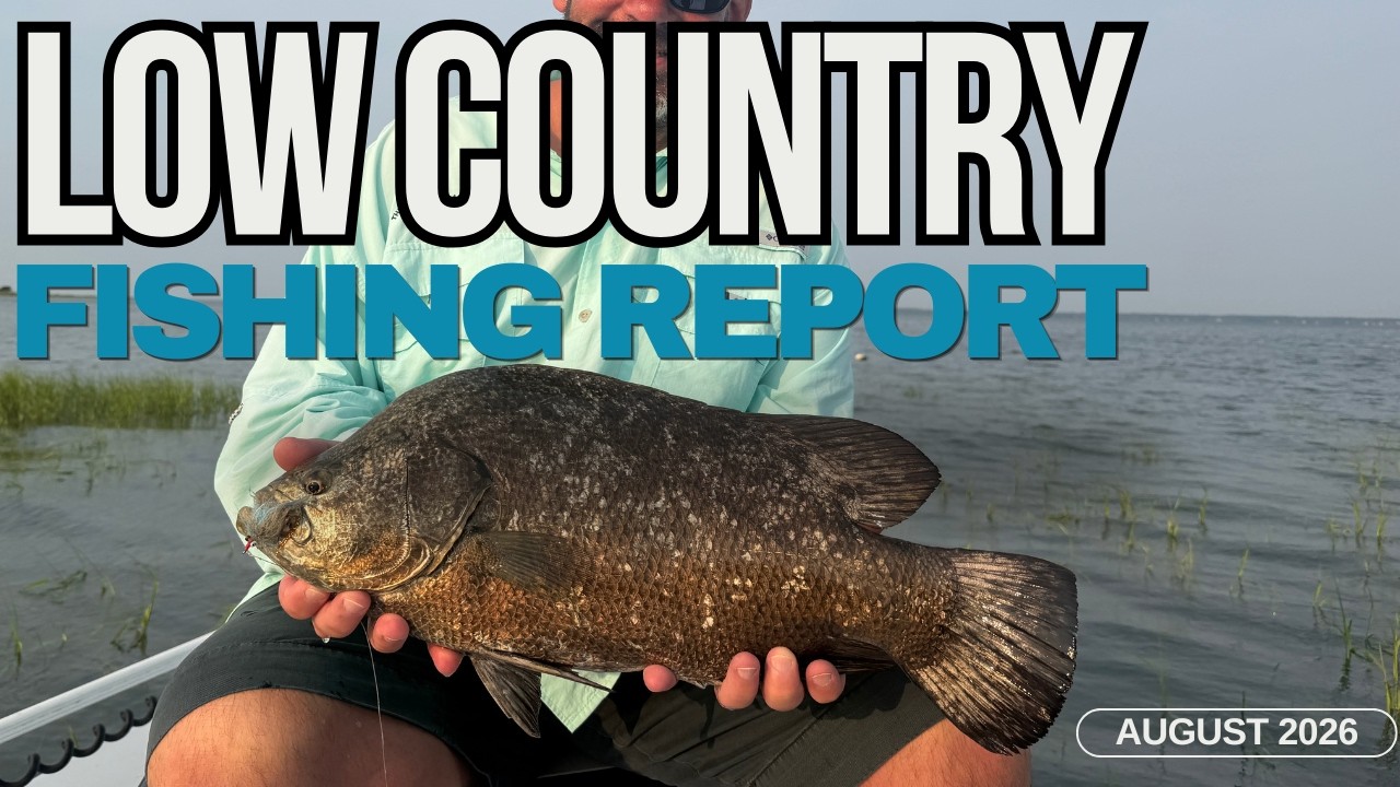 August 2026 Low Country Fishing Report