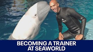 SeaWorld: San Antonio trainer shares story | FOX 7 Austin