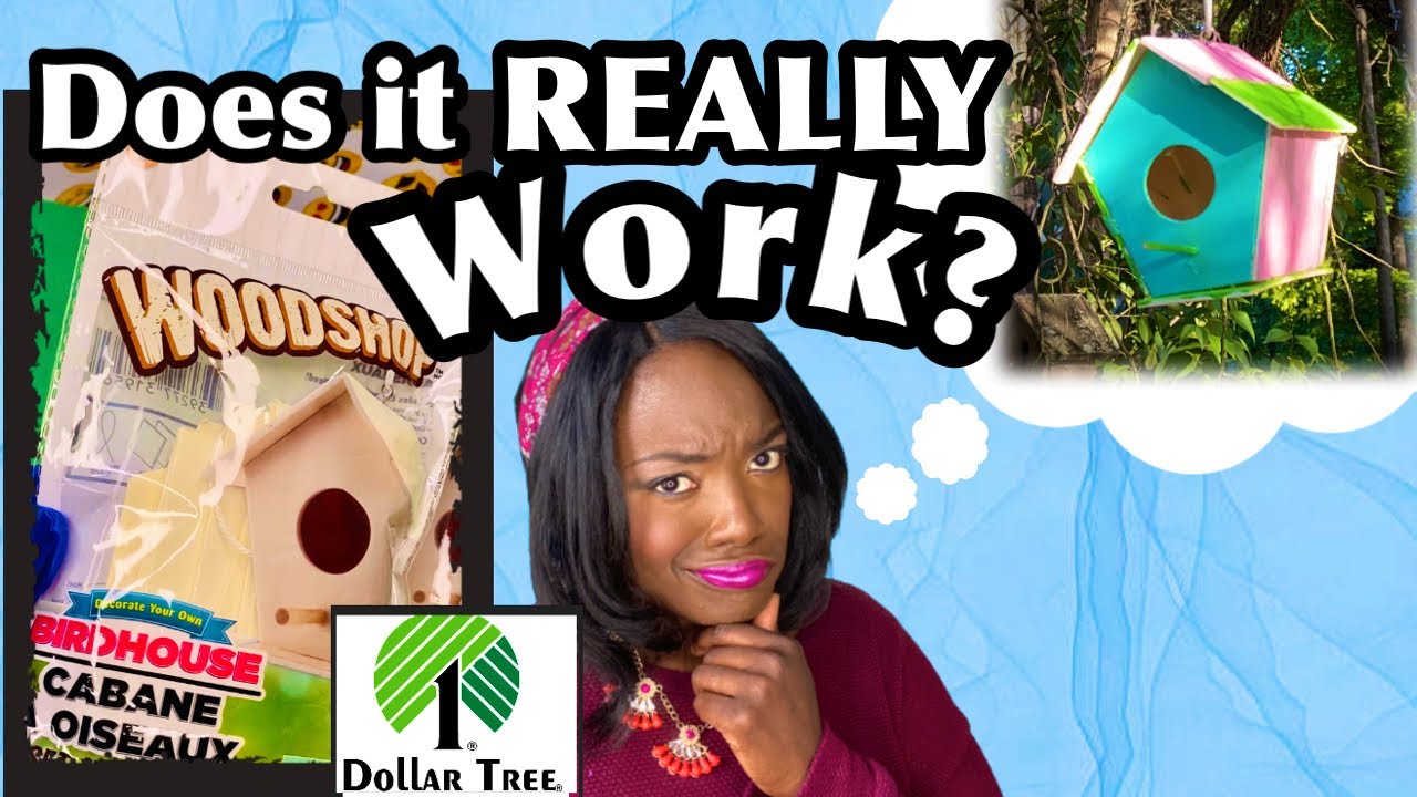 How to assemble the Dollar Tree Birdhouse for Kids|Does It Really Work?HONEST Review|Activity Author