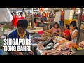 Tiong Bahru Market Singapore Walking Tour【2019】/中峇鲁新加坡徒步旅行【2019】/ションバルシンガポールウォーキングツアー