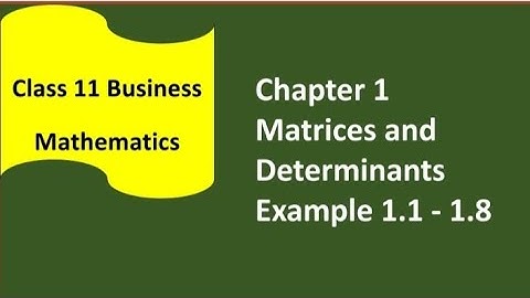 Class 11 Business Maths Chapter 1 Matrices and Determinants Example 1.1 - 1.8