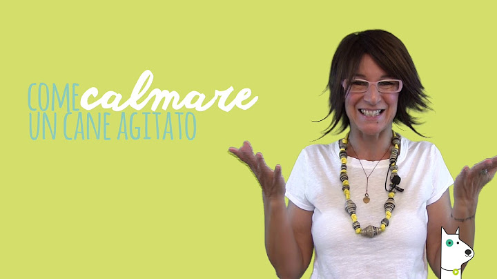 Come Calmare un cane Agitato