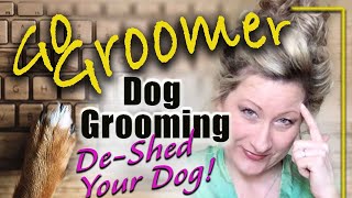 Dog GroomingDeshed your dog