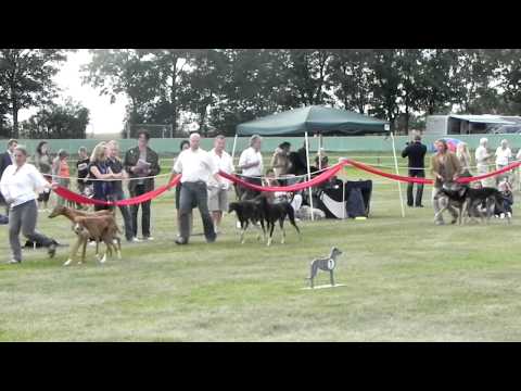 VBS11-Paarklass.MOV