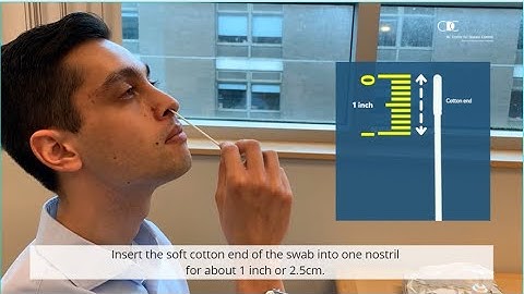 Guide to at-home nasal swab: COVID-19 Rapid Test