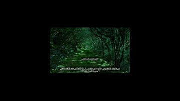 تلاوة فاقت الوصف من سورة النمل للقارئ إبراهيم أحمد لطفي❣
