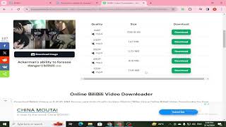 How to Download Video From BiliBili