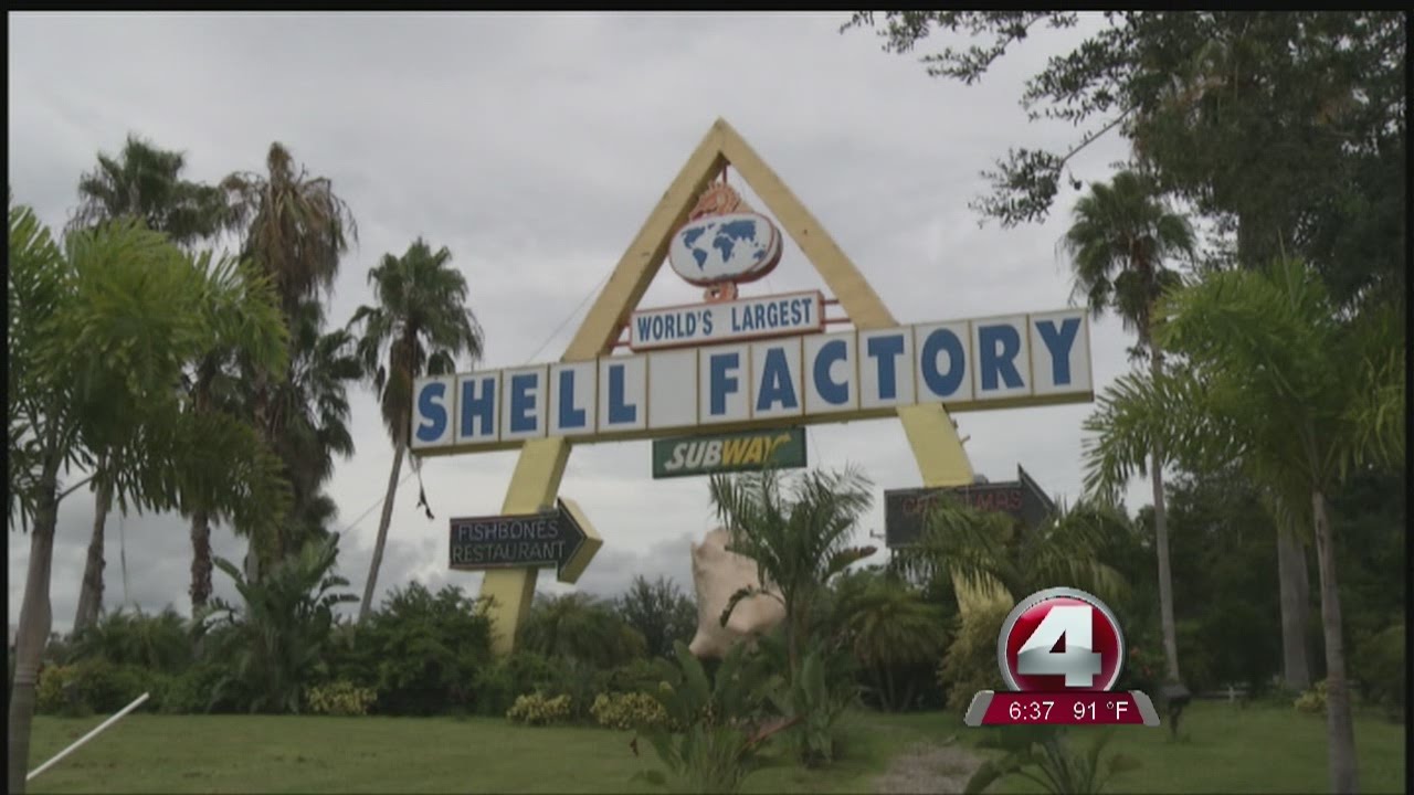 Shell Factory secures funding - YouTube