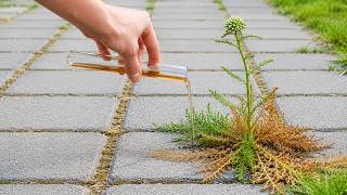More powerful than salt and vinegar! 1 drop and all weeds disappear