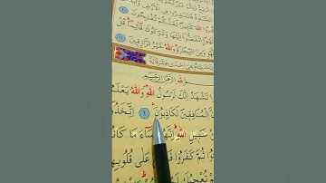 سورة المنافقون الأية 1 إلى 3 القارئ سعد الغامدي