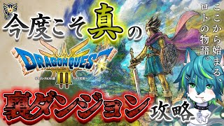【ドラゴンクエストIII そして伝説へ…】裏ダンジョン攻略＃17　ドラクエ３リメイク（ネタバレあり）