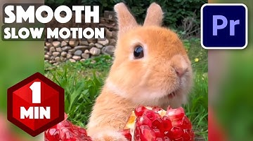 How to Add Smooth Slow Motion in Premiere Pro