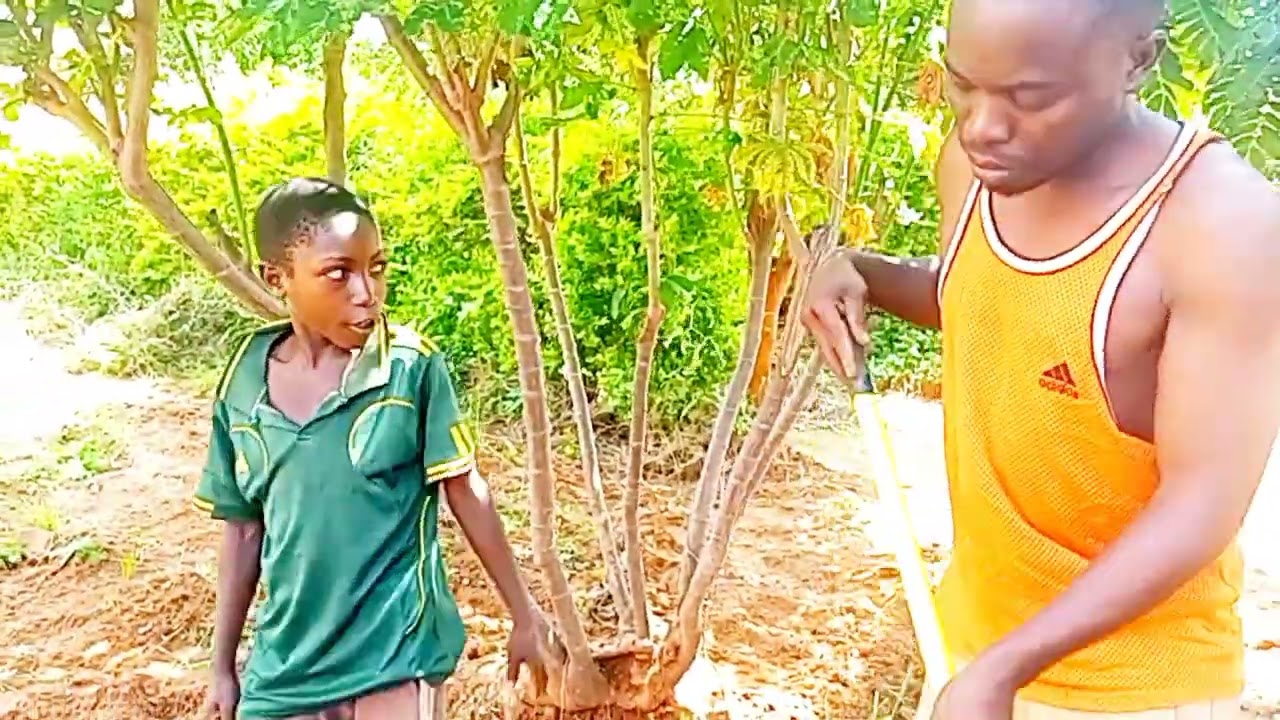 FANYA KAZI KAMA MBWA 😁😁 UTACHEKA SANAA majibu ya huyu mtoto 