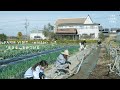 【FARM VISIT -winter- 】「生きる」をみつける｜有機農業／農業体験／畑／野菜