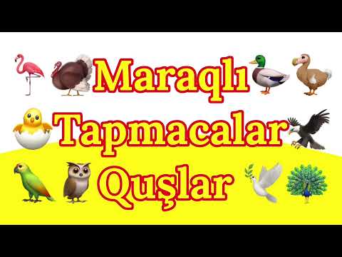 Tap tapmaca 9-cu hissə - Tapmacalar (Quşlara aid tapmacalar)