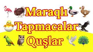 Tap tapmaca 9-cu hissə - Tapmacalar (Quşlara aid tapmacalar)