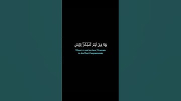 🌿 وتوكل على الحي الذي لا يموت… فبذكره تطمئن القلوب. 🎧 تلاوة خاشعة بصوت القارئ خالد الجليل.