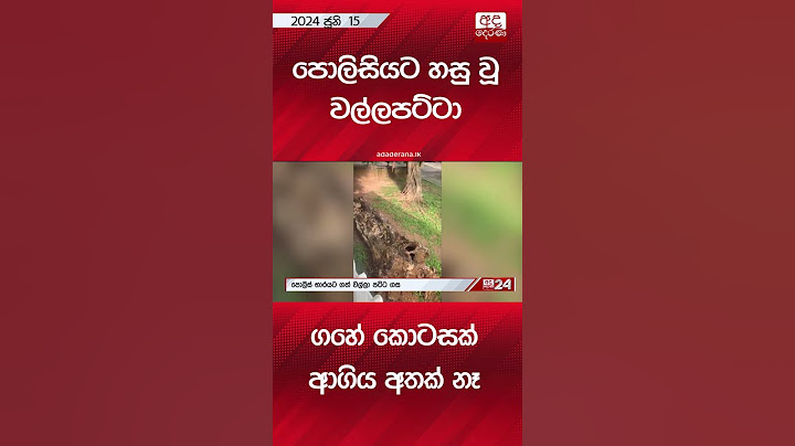 පොලිසියට හසු වූ වල්ලපට්ටා - ගහේ කොටසක් ආගිය අතක් නෑ