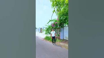 ĐẤT GẦN BIỂN  987M2 NGANG 14X70 SẴN 200M THỔ CƯ #nhadep #batdongsan #bienphuochai #bdsbietthudalat