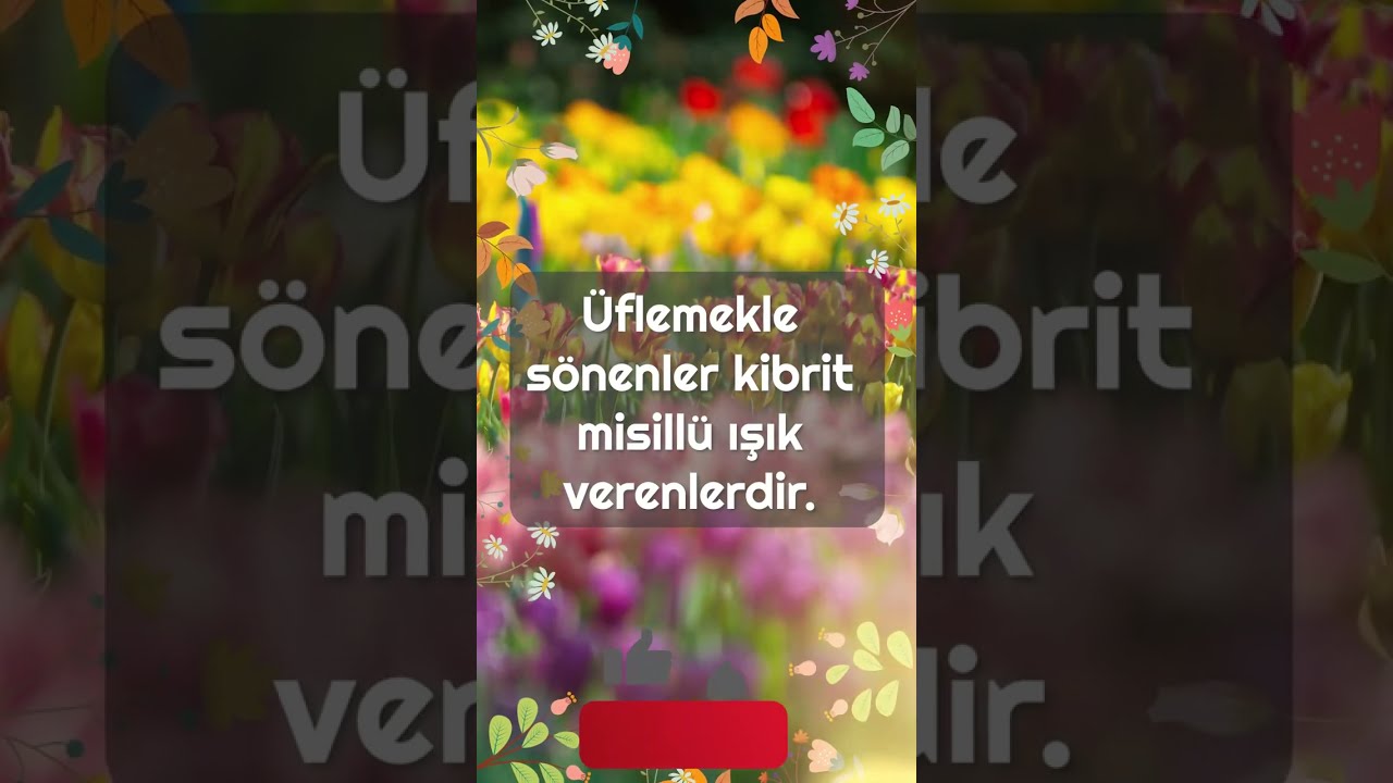 Bu İlahi Dinleyenleri Mutlu Ediyor | Hayırlı Bereketli Huzur Dolu Günler Dileriz | İlahi #shorts