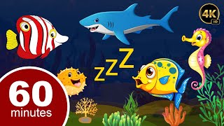 Bedtime Lullabies and Calming Undersea Animation ? ? Lullaby for Babies ?